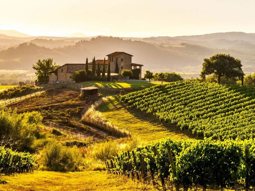 10-cantine-in-Emilia-Romagna